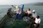 First Anti Shark Nets Installed in Vietnam