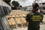 Record-Breaking Seizure of almost 8 tons of Shark Fins in Brazil
