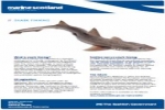Shark Finning Topic Sheet