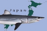Japan’s Sharks and Rays tested on Radioactivity