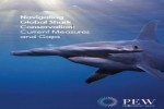 Navigating Global Shark Conservation