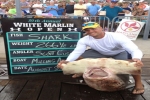 New Maryland State Record Scalloped Hammerhead Shark