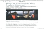 Shark fin bans ensnare New England fishermen