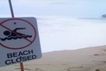 Beaches closed after shark attack – Hawaii
