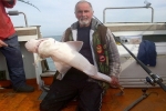 British Record sized Sixgill shark caught off Isle of Wight