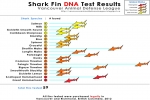 Shark fin DNA test results from British Columbia, Canada