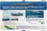 Qatar Whale Shark Project