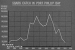 Australia 1956: These Sharks Need Protection