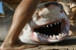 Kon-Tiki Movie: Making of Shark Scene