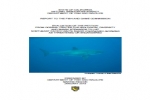 CDFW: Evaluation of Petition to List White Shark as Endangered Species