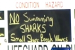 Sharks spotted on Palm Beach shoreline