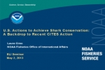 U.S. Actions to Achieve Shark Conservation
