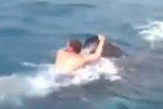 Amazing Video of Man Riding a Whale Shark