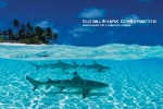 Booklet: Global Shark Conservation