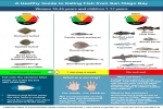 San Diego: Four Elasmobranch Species mentioned in New Fish Consumption Advisories