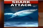 7News Perth: Shark attacks abalone diver off Esperance