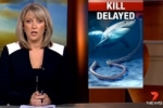 7News: WA Shark kills delayed