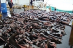Legalized Shark Finning in Costa Rica