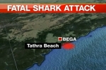7News: Woman killed in suspected shark attack