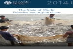 Report highlights growing role of fish in feeding the world