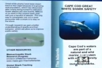 CBS Boston: Shark Brochure To Warn Cape Tourists Of Potential Danger