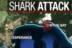 7NEWS: Esperance surfer remains critical after shark attack