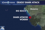 KHON2 News: Kihei woman dies after apparent shark attack off Maui