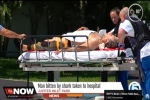 WPTV News:  Man bitten by shark off coast of Jupiter, Florida