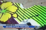 ABC News: Teenage Girl Attacked by Shark Off Coast of North Carolina