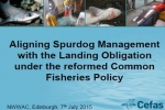 Presentation: UK Project on Spurdog and the Landing Obligation