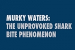 Bond University: The Unprovoked Shark Bite Phenomenon