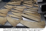 Suspected Hammerhead Shark Fins Seized By Hong Kong Customs