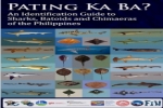 Identification Guide to Sharks, Batoids and Chimaeras of the Philippines