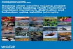 SNH Commissioned Report 908: Basking shark satellite tagging project