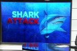 CBS Miami: Diver Attacked By Bull Shark Off Riviera Beach