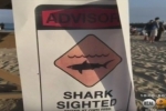 CBS: Officials Confirm Woman Attacked By Shark Off Corona Del Mar Coast