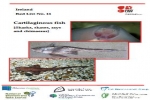 Ireland Red List No. 11: Cartilaginous fish