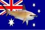 Protection removed for endangered Hammerhead sharks in Great Barrier Reef