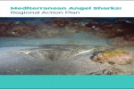 Action Plan for Mediterranean angel sharks