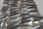 WPLG Local 10: $700,000 worth of shark fins confiscated in Miami