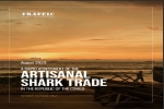 Traffic Report: Congo’s shark trade