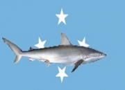 Taiyo Micronesia Corporation Criminally Charged for Unlawful Removal of Shark Fins