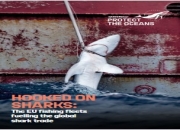 Greenpeace Report: Hooked on Sharks