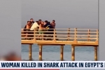 i24NEWS Video: Two women killed by shark attacks in the Red Sea