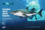 Canadian Shark Attack Registry