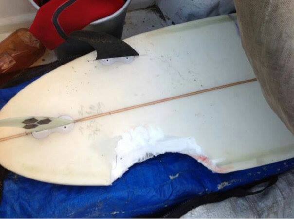 Kevin Bracey Surfboard Shark Attack  Queensberry Bay East London South Africa