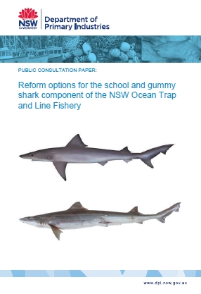 pdf_School-and-Gummy-Shark-Public-Consultation-Paper