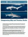 pdf_Disappearing Silky and Thresher Sharks