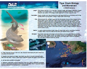 pdf_Tiger Shark Biology