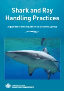 pdf_shark ray handling guide